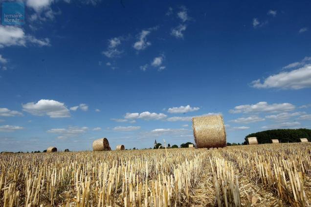 Sarthe S Cheresse Un Bassin Versant En Situation D Alerte Le Mans