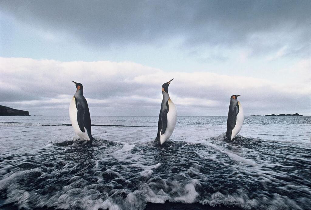 Ancien De La Calypso Le Photographe Xavier Desmier Rejoint Le Projet