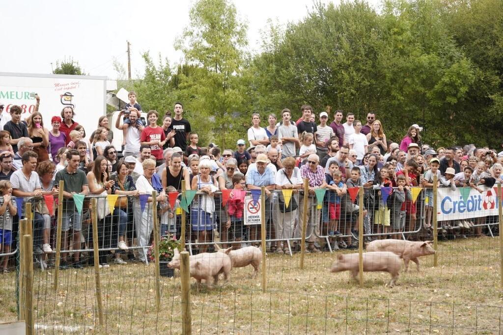 Cholet Plus De Personnes La E Dition De La F Te Du Cochon