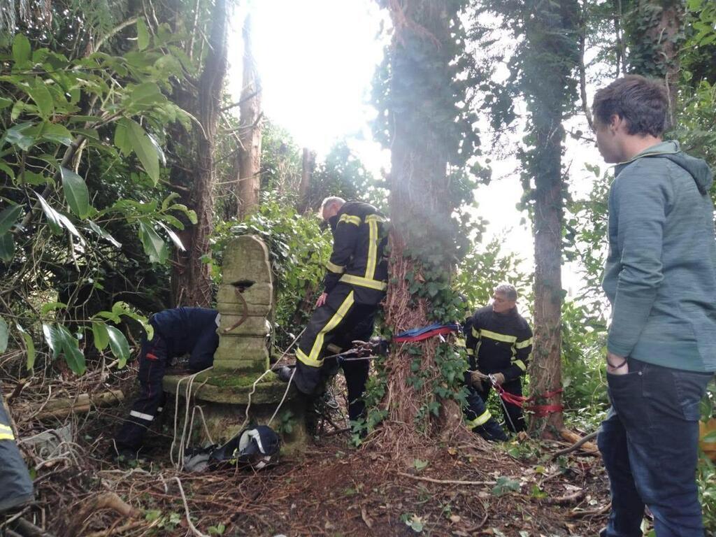 Coinc Au Fond Dun Puits En Bretagne Le Chat Plume Est Sauv Par Les