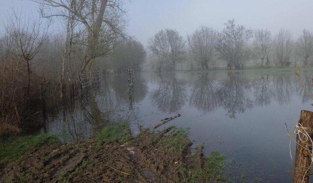 En Vendée la Sèvre Niortaise est placée en vigilance jaune pour risque