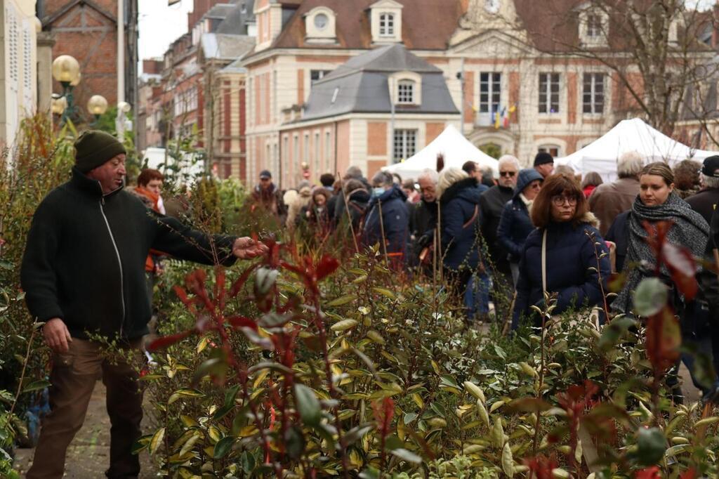 Foire Aux Arbres Lisieux Cherche Des Exposants Pour L Dition