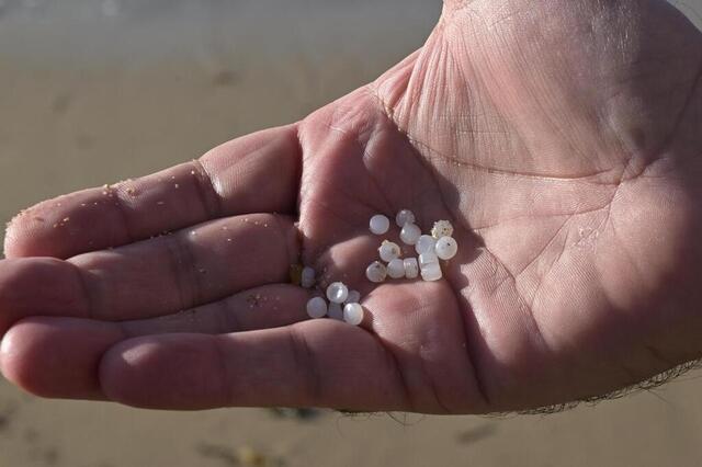 Pollution aux granulés plastiques sur nos plages plaintes déposées et