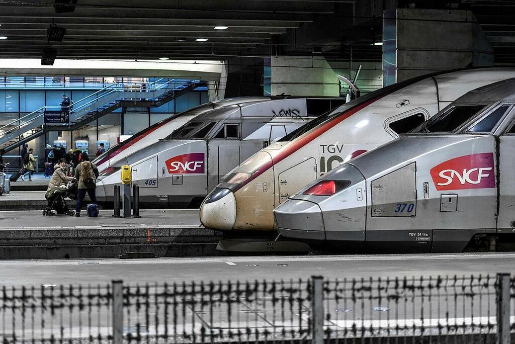 Un TGV démarre et écrase leur chat à la gare Montparnasse malgré leurs