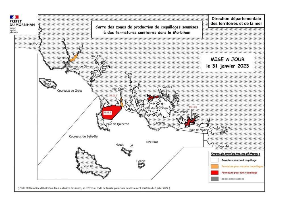 Coquillages Les zones de pêche commencent à rouvrir dans le Morbihan