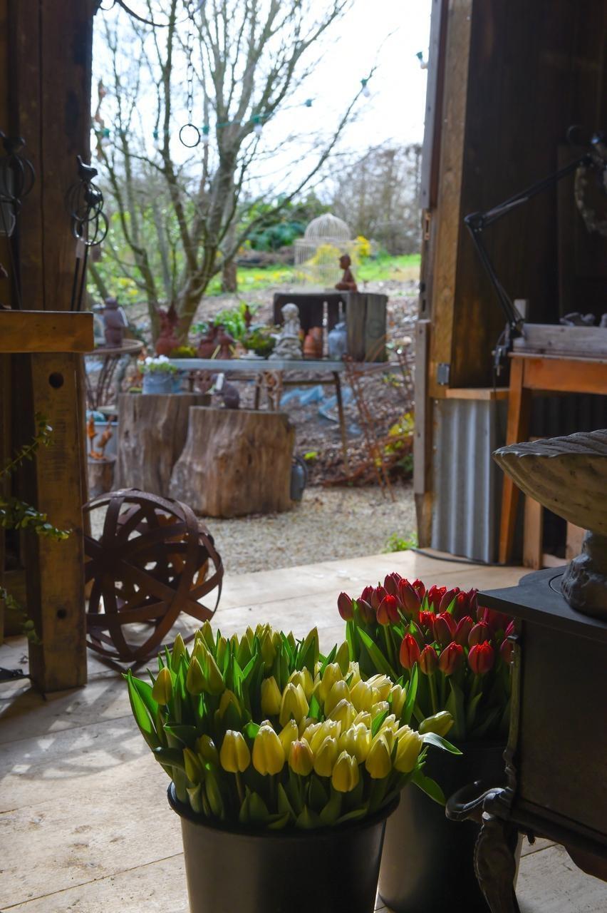 REPORTAGE Fleurs des campagnes et objets chinés son jardin cultive l