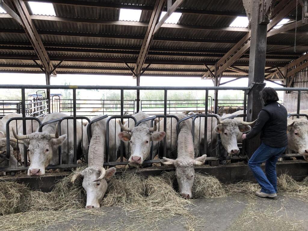 Agriculture Comment cette ferme du Maine et Loire préserve la