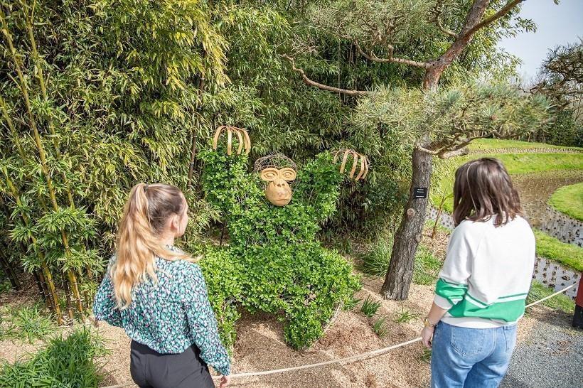 C Lins Aux Arbres Oiseaux Nocturnes Cest Reparti Pour Une Nouvelle