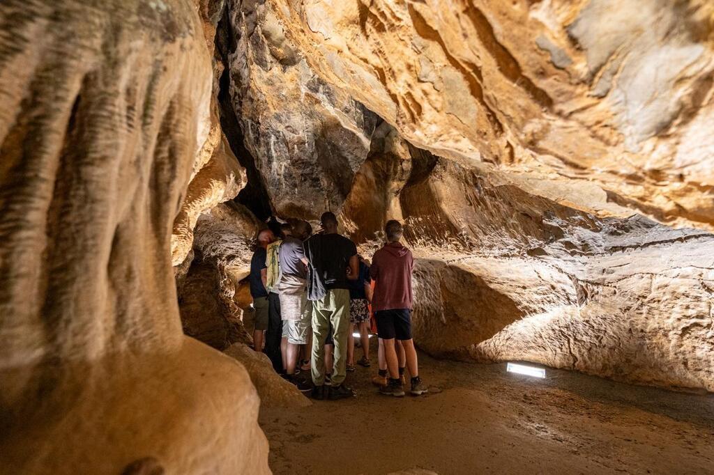 Des gravures millénaires à découvrir dans les grottes de Saulges Le