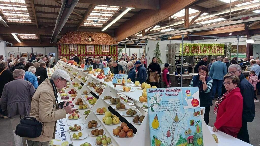 EN IMAGES La foire de la Pomme retrouve du goût avec son motif à