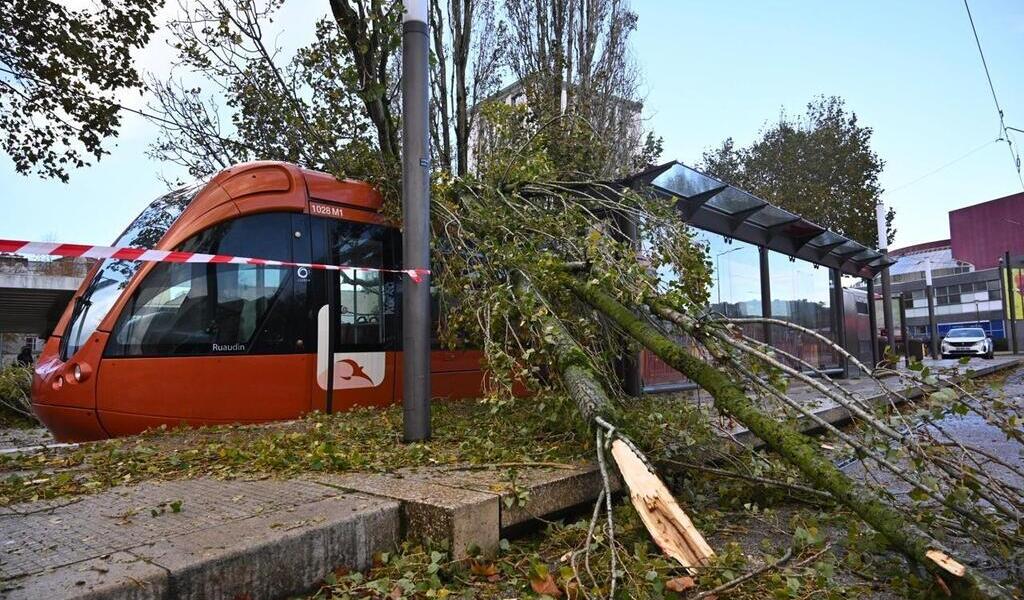 Temp Te Ciaran Un Arbre Tombe Sur Un Tramway La Circulation Perturb E