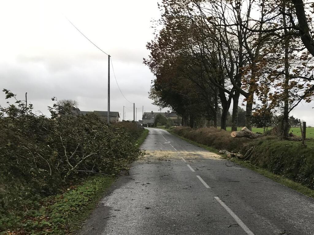 EN IMAGES Chutes darbres coupure de courant la tempête Ciaran a