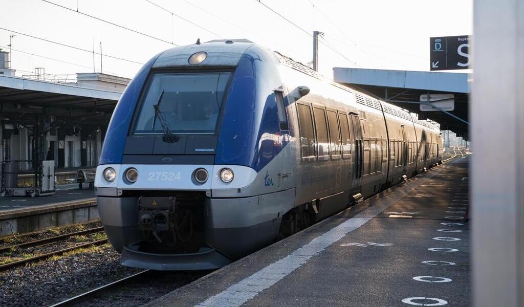 SNCF à cause dun arbre sur une caténaire le trafic des trains entre