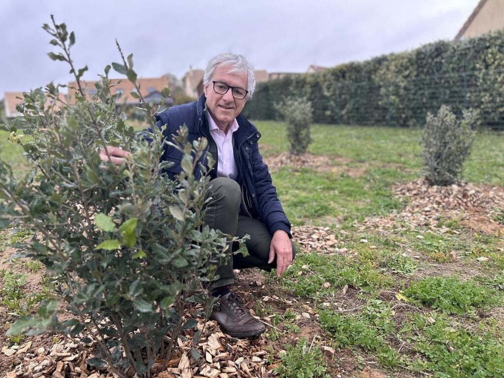 En Sarthe Cette Petite Commune A D Cid De Planter Arbres En Un An