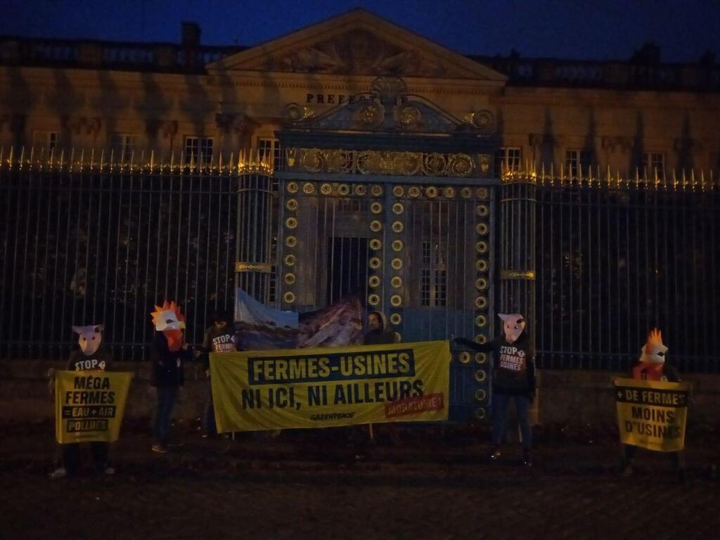 Contre Les Fermes Usines Greenpeace Interpelle Le Pr Fet De Loire