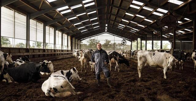 LAmour est dans le pré Le portrait du Breton Mickaël diffusé ce lundi