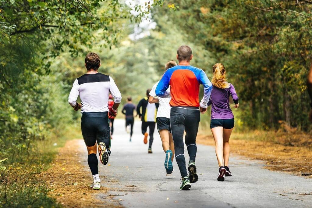 Le Cerveau Des Personnes Sportives Est Plus Gros Que Celui Des Inactifs