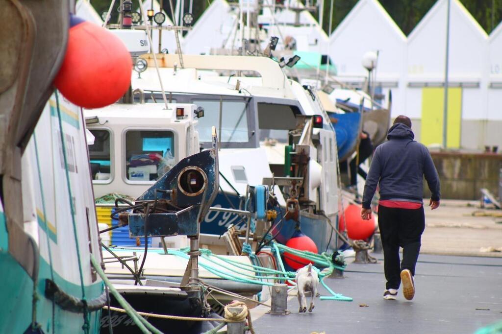 Golfe de Gascogne Linterdiction de pêche concerne t elle aussi les