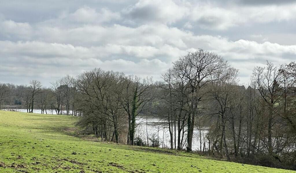 Un village de cabanes en bois dans une zone classée Natura 2000 le