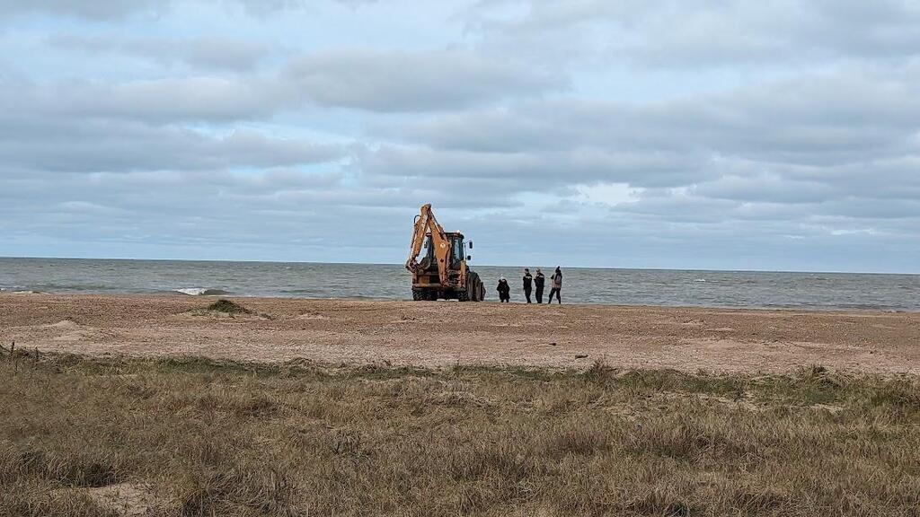 Un phoque découvert mort sur une plage du Calvados le deuxième en cinq