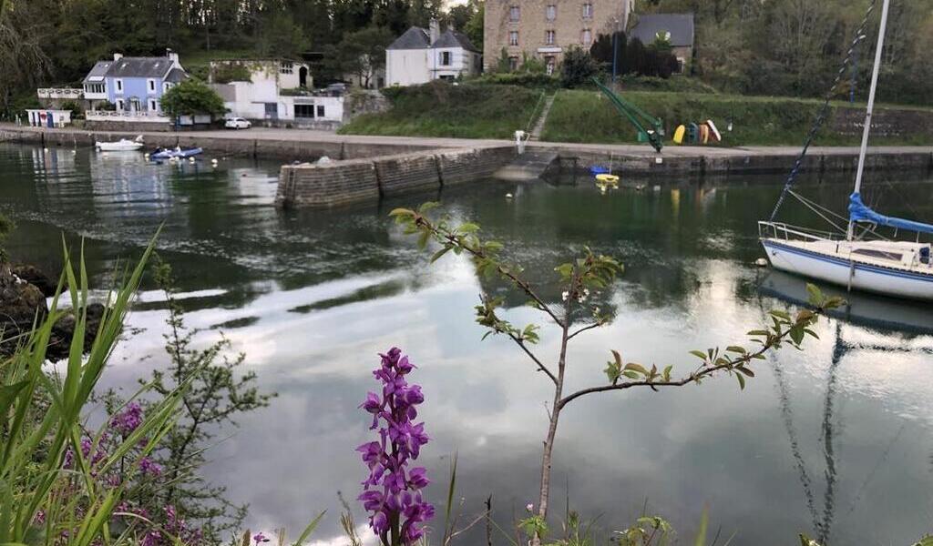 Pays de Quimperlé Nos idées de sorties pour ce week end des samedi 27