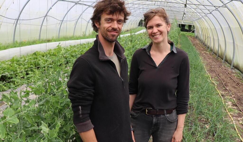 Des March S Tous Les Mercredis La Ferme Mara Ch Re De Bois Du Ch Teau