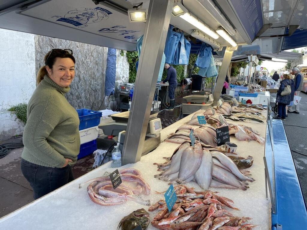 Fin De La P Che La Coquille Saint Jacques Une Campagne Mitig E