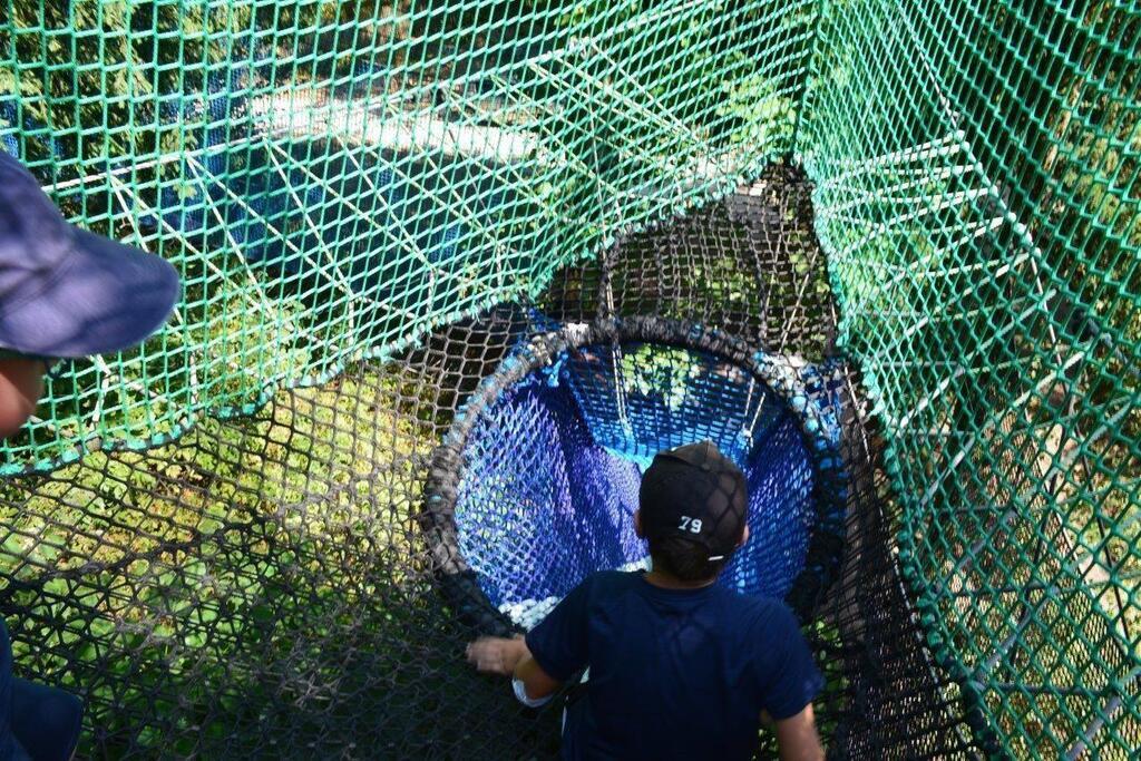 Le parc Baron Aventures ouvre ses portes ce samedi à Fontenay le Comte