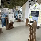 photo Exposition «Arbres remarquables d'Anjou» à la MATP