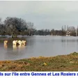 photo diaporama sorties vos plus belles photos de loire 11272