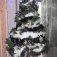 photo diaporama sorties noël 2015 : sapins et décorations dans vos maisons 116138