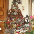 photo diaporama sorties no�l 2015 : sapins et d�corations dans vos maisons 117391