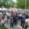 photo diaporama sorties vos photos des manifestations contre la r�forme des retraites 154337