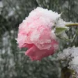 photo diaporama sorties neige et froid : vos photos ! 162362