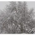 photo diaporama sorties neige et froid : vos photos ! 163124