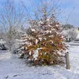 photo diaporama sorties neige et froid : vos photos ! 163942