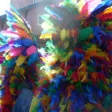 photo diaporama sorties couleurs carnaval ! 175030