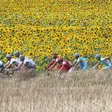 photo diaporama sorties tour de france 2011: départ de la 7e étape au mans 189124