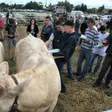 photo diaporama sorties crosmières : l'agriculture en fête au comice cantonal 215299