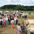 photo diaporama sorties crosmières : l'agriculture en fête au comice cantonal 215300