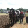 photo diaporama sorties crosmières : l'agriculture en fête au comice cantonal 215302