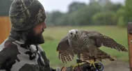 photo diaporama info luché-pringé. ses rapaces sont de vrais chasseurs d'élite