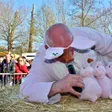 photo diaporama sorties le mans. le champion du monde de cri de cochon en images [galerie photos] 240386