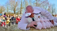 photo diaporama info le mans. le champion du monde de cri de cochon en images [galerie photos]