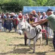 photo diaporama sorties sur le site de la monnerie: courses d'ânes et vide-greniers 244310