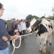 photo diaporama sorties agriculture en sarthe: auvers-le-hamon résiste 245472