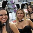 photo diaporama sorties 24 h moto: les playmates de playboy régalent le public 250805