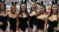 photo diaporama info 24 h moto: les playmates de playboy régalent le public