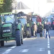 photo diaporama sorties le mans. revivez en images la manifestation des agriculteurs [galerie photos] 253177