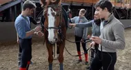 photo diaporama sport au pôle européen du cheval : voltige équestre les 19, 20 et 21 décembre